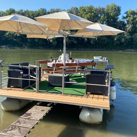 Voeroes Alom Panzio Bed and Breakfast Tiszakécske Exteriör bild